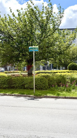 Mieszkanie Sprzedaż  Centrum Monte Cassino 34