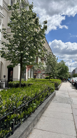 Mieszkanie Sprzedaż Szczecin Centrum Monte Cassino 1