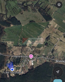 Działka Sprzedaż Brzózki