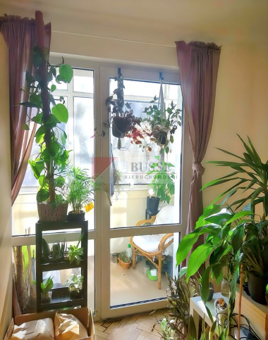 Mieszkanie Sprzedaż Szczecin Śródmieście Herbowa 2