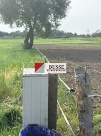Działka Sprzedaż Przęsocin