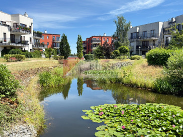Mieszkanie Sprzedaż Szczecin Żelechowa Ostrowska