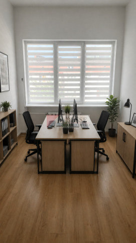 Lokal Wynajem Szczecin Śródmieście 3