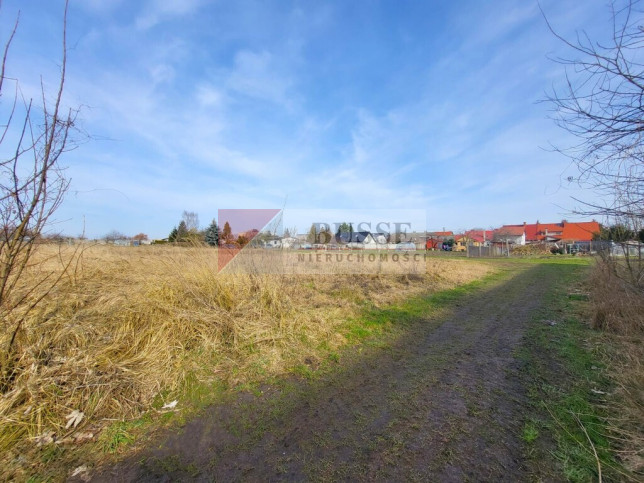 Działka Sprzedaż Koszewo 2
