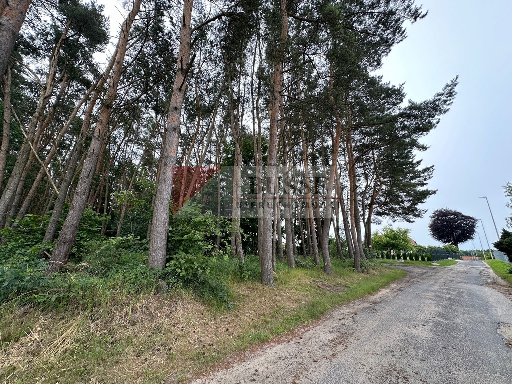 Działka Sprzedaż Szczecin Płonia 10