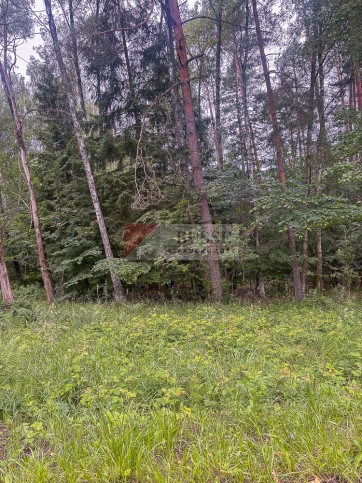 Działka Sprzedaż Piaseczno 8
