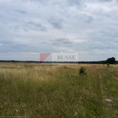 Działka Sprzedaż Buk 3