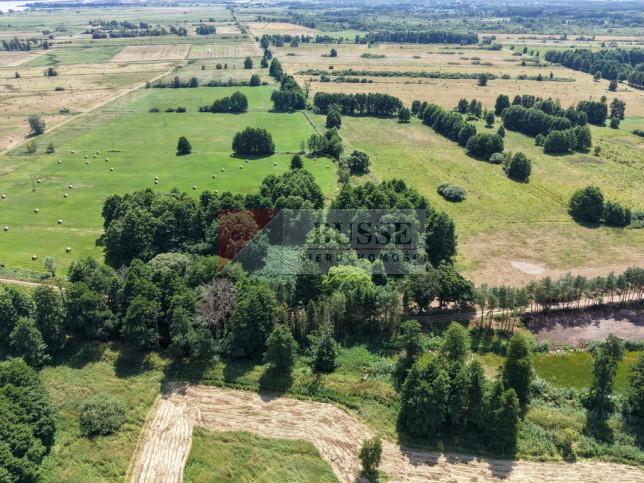 Działka Sprzedaż Uniemyśl 4