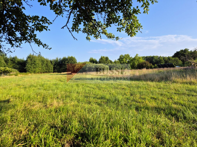 Działka Sprzedaż Niekłończyca 2