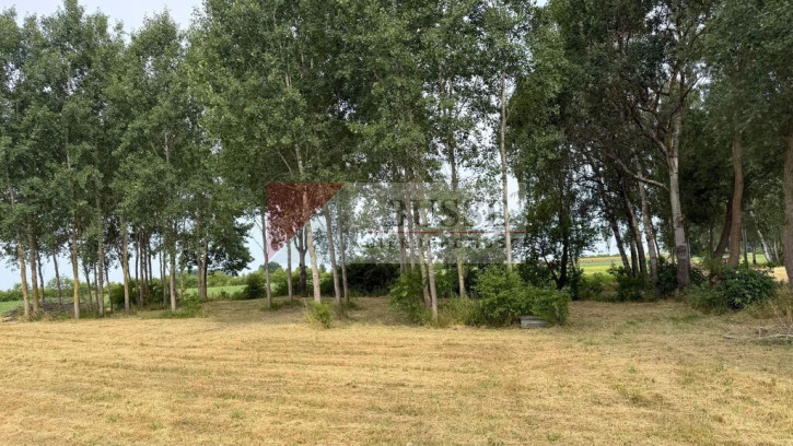 Działka Sprzedaż Marszewo 3