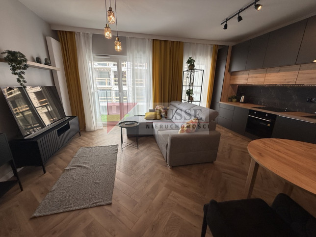 Mieszkanie Wynajem  Centrum Zielonego Mostu 9