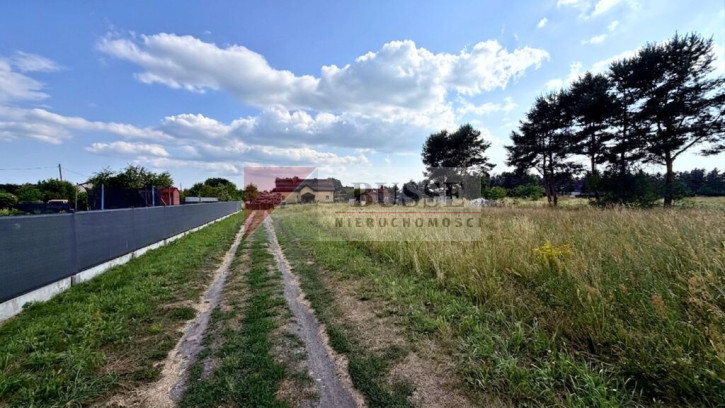 Działka Sprzedaż Modrzewie 4