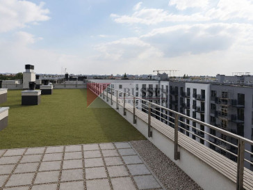 Mieszkanie Wynajem Szczecin Centrum Mariana Langiewicza