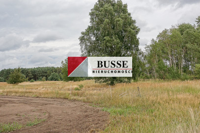 Działka Sprzedaż Lubczyna Kasztanowa