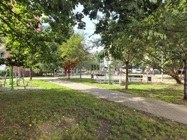 Mieszkanie Sprzedaż Szczecin Centrum Kujawska 16