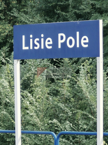 Dom Sprzedaż Lisie Pole 1