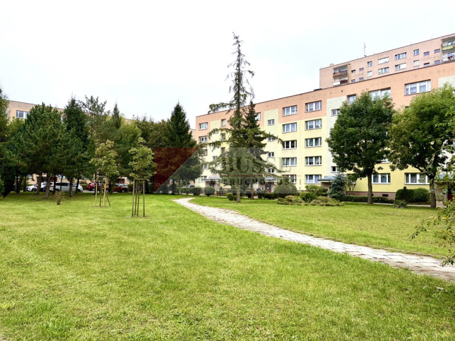 Mieszkanie Sprzedaż Szczecin Zawadzkiego Władysława Szafera 12