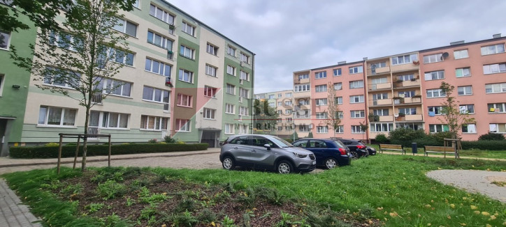 Mieszkanie Wynajem Szczecin Drzetowo Rugiańska 6