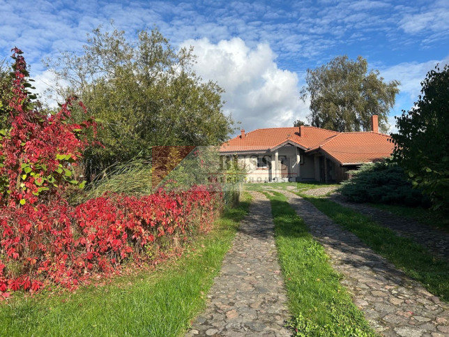 Dom Wynajem Warzymice 18