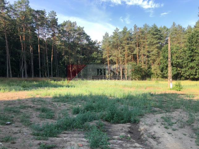 Działka Sprzedaż Trzebież 1
