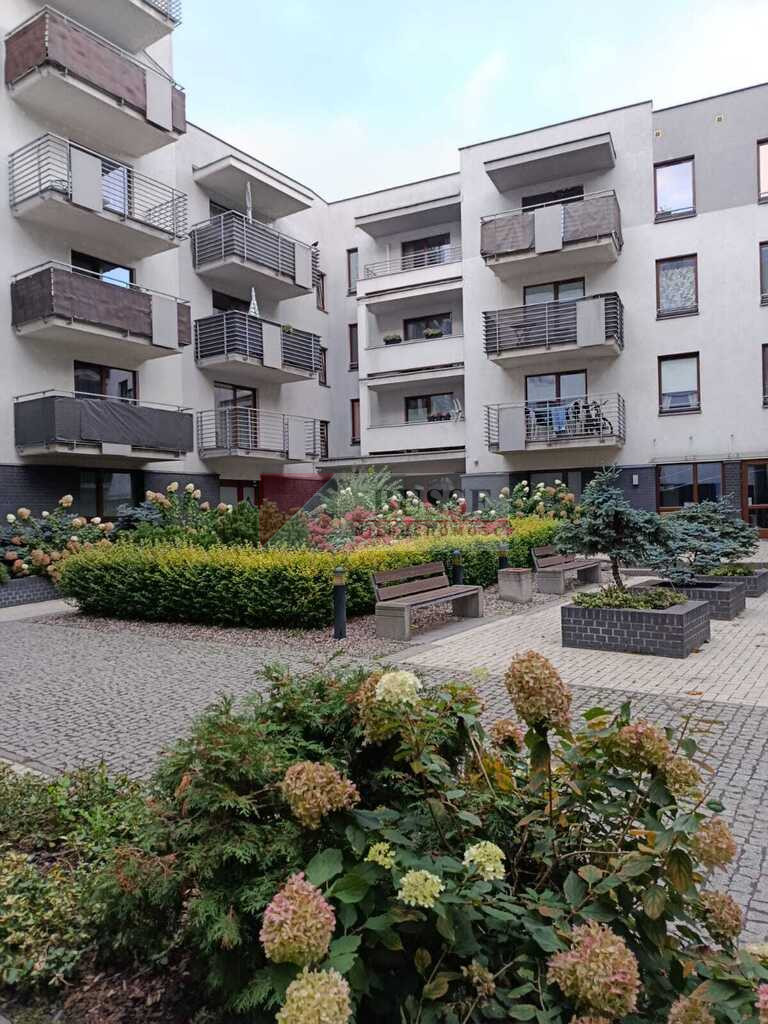 Mieszkanie Wynajem Szczecin Centrum &nbsp;arkowa
