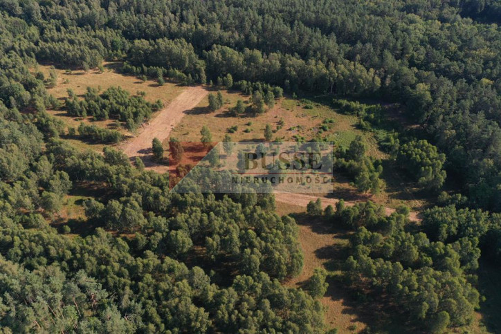 Działka Sprzedaż Krzywice 2
