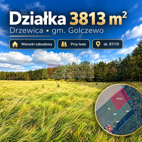 Działka Sprzedaż Drzewica 1