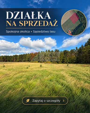 Działka Sprzedaż Drzewica 3