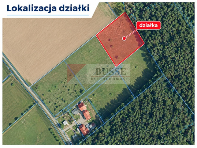 Działka Sprzedaż Drzewica 4