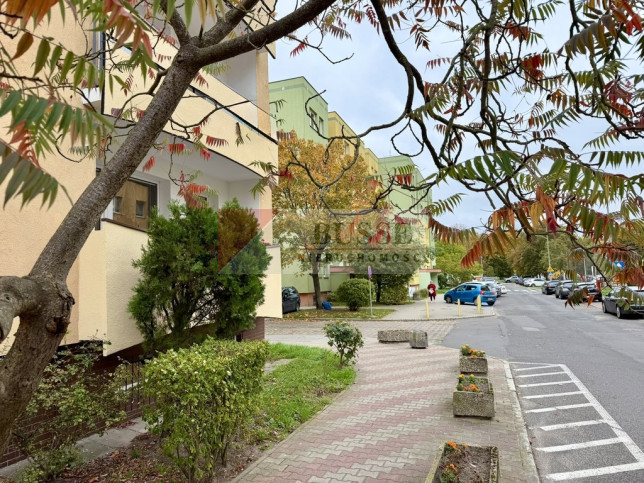 Mieszkanie Sprzedaż Police Przyjaźni 1