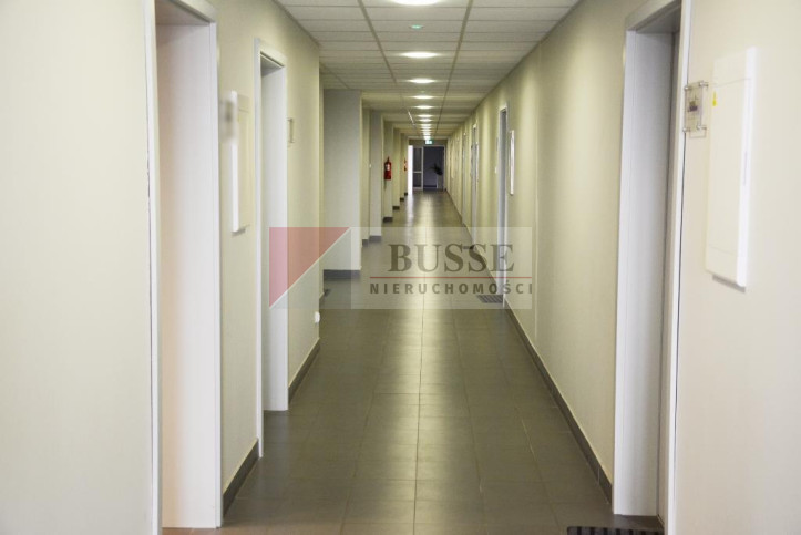 Lokal Wynajem  Śródmieście 11
