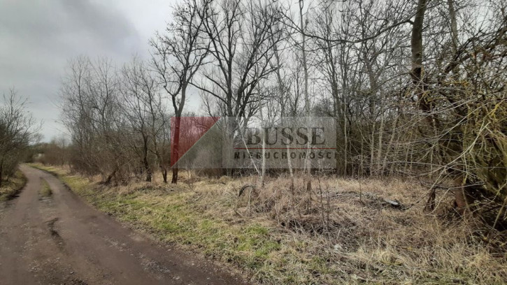 Działka Sprzedaż Karwowo 5