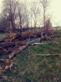 Działka Sprzedaż Łęgi