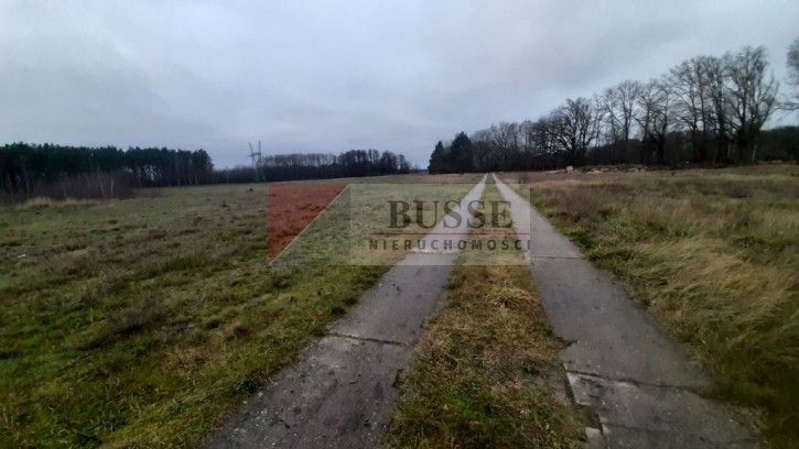 Działka Sprzedaż Stepnica 1
