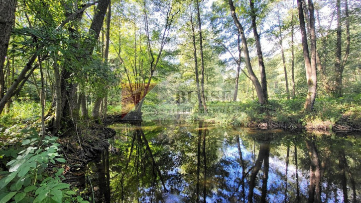 Działka Sprzedaż Staw 9