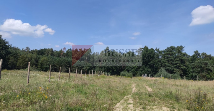 Działka Sprzedaż Kościno 4