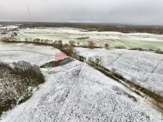 Działka Sprzedaż Kołowo 6