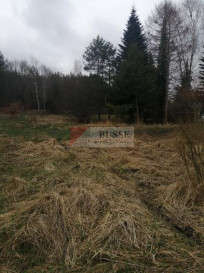 Działka Sprzedaż Stawno