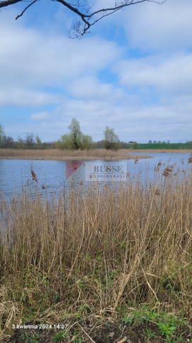 Działka Sprzedaż Zieleniewo 1