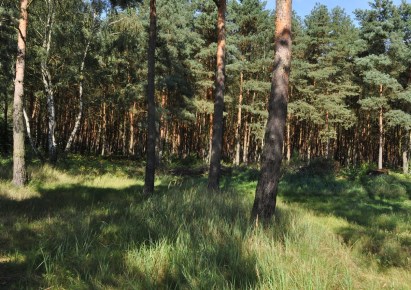 działka na sprzedaż - Szczecin, Wielgowo