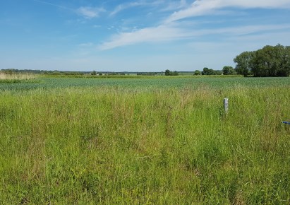 działka na sprzedaż - Dobra (Szczecińska), Wąwelnica