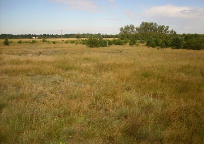 działka na sprzedaż - Goleniów, Żółwia Błoć