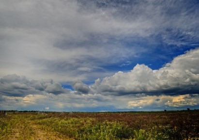 działka na sprzedaż - Kobylanka, Niedźwiedź