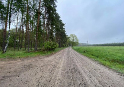 działka na sprzedaż - Gryfino