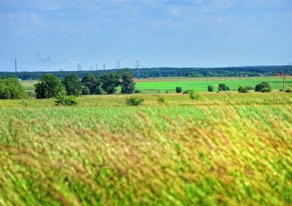 działka na sprzedaż - Police (gw), Trzebież