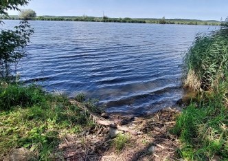 działka na sprzedaż - Gryfino (gw), Żabnica